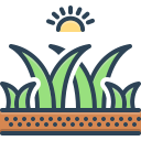 Green Fodder